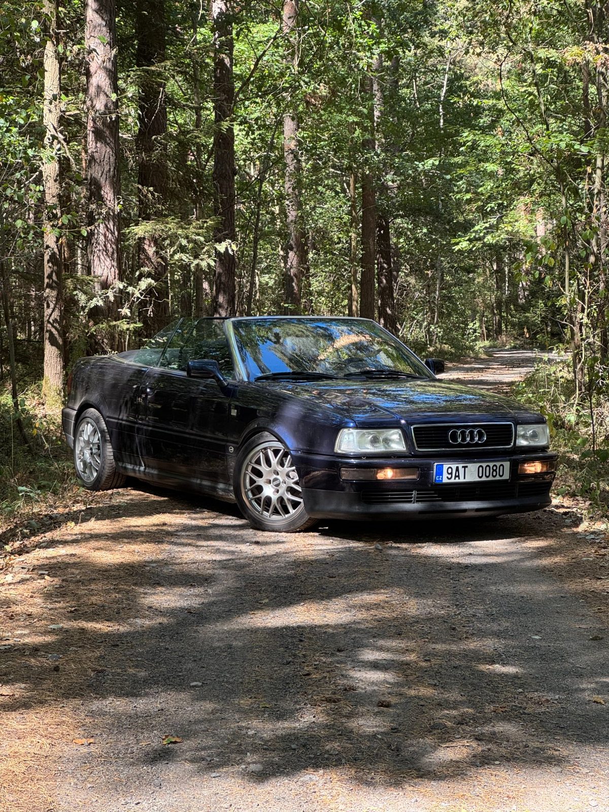 Auto v přírodě